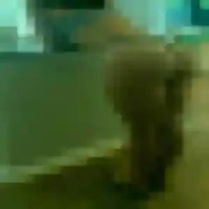 Ninon (38 ans) à Libourne propose une rencontre rapidement