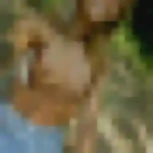 Clarisse (19 ans) à Maurepas propose un rencontre cougar rapidement