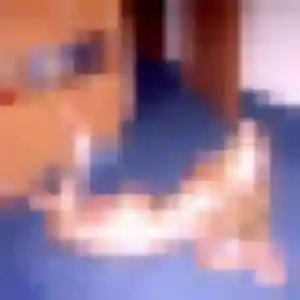 Ingrid, 37 ans, connectée à Mazé-Milon pour une rencontre coquine