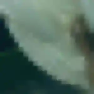 Photo de Myriam à Montmorillon (35 ans) - rencontre cougar gratuit