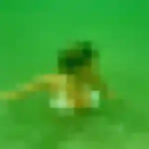 Iris de Mouy, 30 ans - rencontre cougar discret