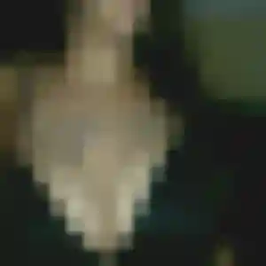 Elsa, 35 ans, disponible à Neuville-sur-Saône pour une rencontre coquine