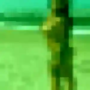 Sexy Aisha, 38 ans à Nieul-sur-Mer - voir sa photo