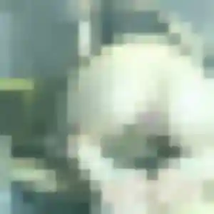 Pascale, fille de 31 ans propose rencontre cougar à Nogent-sur-Seine