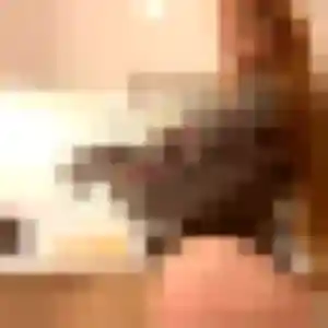 Photo sexy de Geneve, 33 ans à Noyelles-sous-Lens - plan discret