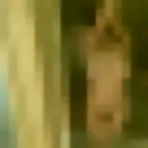 Heloise, 34 ans, cherche un rencontre cougar à Noyelles-sous-Lens