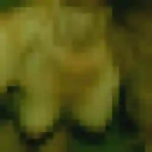 Ximena, 33 ans, dispo pour rencontre cougar à Paray-le-Monial