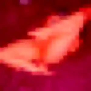 Photo sexy de Colombine, 44 ans à Petit-Couronne - rencontre coquine