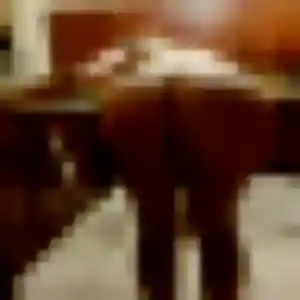 Photo perso de Typhaine, 36 ans à Ploërmel - rencontre coquine