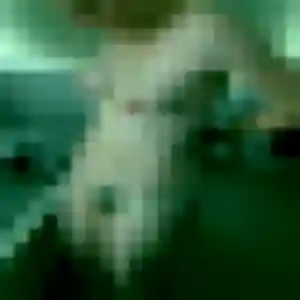Profil de Paloma à Plouzané (25 ans) - rencontre cougar anonyme