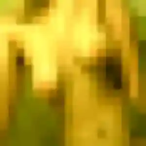 Profil de Nadia à Pouzauges (30 ans) - rencontre cougar gratuit