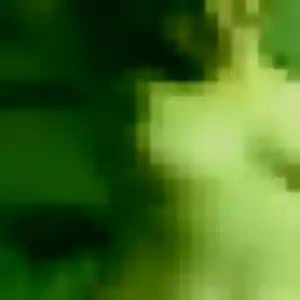 Marie-Cecile, 37 ans, disponible à Pulnoy pour un rencontre cougar