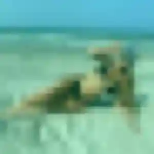 Elodie, 34 ans, dispo pour rencontre cougar à Quincy-Voisins
