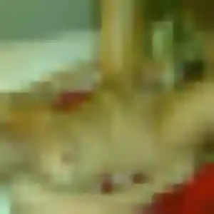 Clementine, 39 ans, cherche un rencontre cougar à Roche-la-Molière