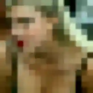 Christelle (24 ans) à Rognac cherche un rencontre cougar rapidement