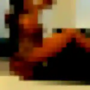 Belle Elena, 44 ans à Roncq - découvrir son profil