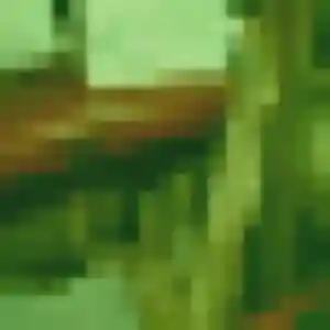 Profil de Lamia à Saint-Avertin (22 ans) - rencontre cougar gratuit