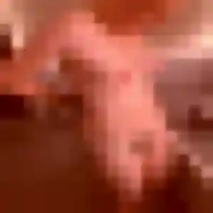 Photo exclusive de Diane, 35 ans à Saint-Chéron - rencontre sans lendemain