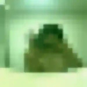 Profil de Flavia à Saint-Claude (25 ans) - rencontre cougar sans inscription