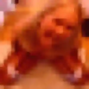 Photo exclusive de Audrey, 27 ans à Saint-Dizier - rencontre coquine