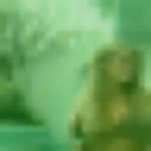 Rachida, fille de 44 ans propose rencontre cougar à Saint-Jean-d'Illac