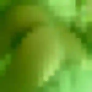 Profil de Myriam à Saint-Joseph (43 ans) - rencontre cougar anonyme
