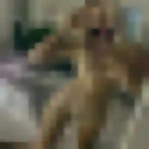 Sexy Joana, 30 ans à Saint-Joseph - la contacter