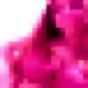 Photo de Candice à Saint-Maixent-l'École (24 ans) - rencontre cougar discret