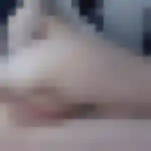 Rania (36 ans) à Saint-Maixent-l'École attend un rencontre cougar rapidement