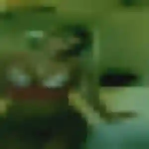 Charmante Severine, 19 ans à Saint-Martin-Boulogne - découvrir son profil