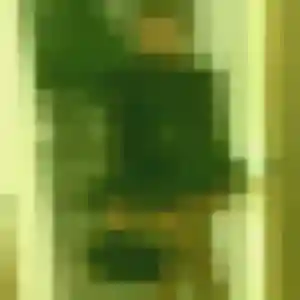 Photo privée de Noura, 39 ans à Saint-Pierre-lès-Nemours - plan discret
