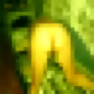 Photo exclusive de Daphne, 35 ans à Saint-Rémy - rencontre coquine