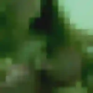 Profil de Idalina à Saint-Xandre (26 ans) - rencontre cougar discret