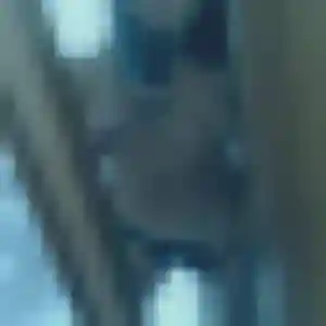 Sexy Inaya, 30 ans à Saint-Yrieix-la-Perche - découvrir son profil