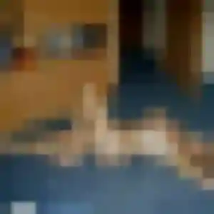 Josephine, fille de 34 ans cherche rencontre cougar à Sainte-Livrade-sur-Lot