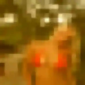 rencontre cougar à Sarreguemines : photo de Dana, 23 ans - accès libre