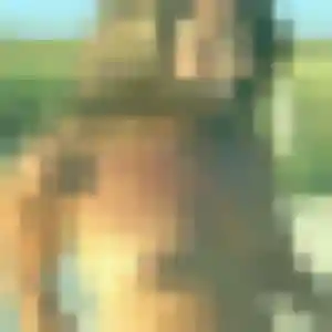 Ghislaine, 31 ans, connectée à Saumur pour un rencontre cougar