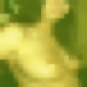 Photo de Claire à Seysses (37 ans) - rencontre cougar sans inscription