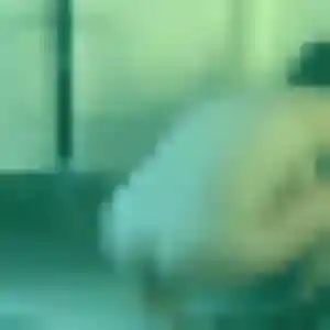 Charmante Diane, 43 ans à Sigean - découvrir son profil