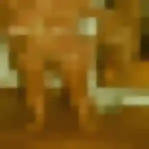 Profil de Anne-Marie à Trèbes (40 ans) - rencontre cougar sans inscription