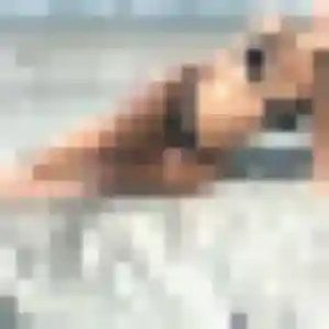 Xaviere, 23 ans, connectée à Tullins pour une rencontre coquine