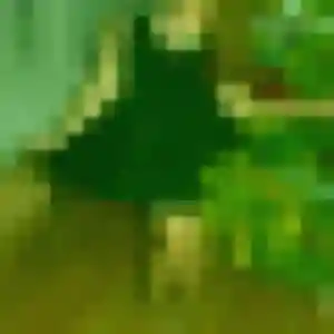 Sabrina (38 ans) à Viarmes cherche un rencontre cougar aujourd'hui