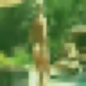 Gisele, 43 ans, connectée à Vichy pour une rencontre coquine