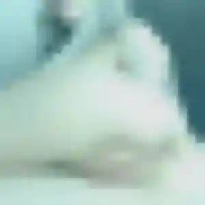 Bertrane (19 ans) à Villeparisis propose un rencontre cougar maintenant